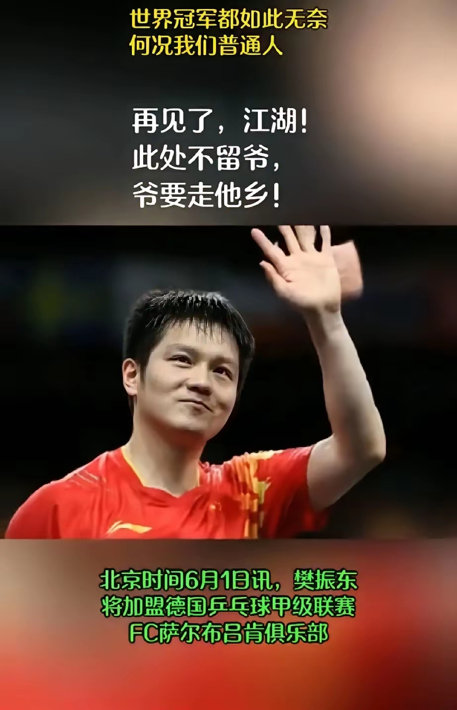 德国队鏖战韩国队，樊振东带队取胜