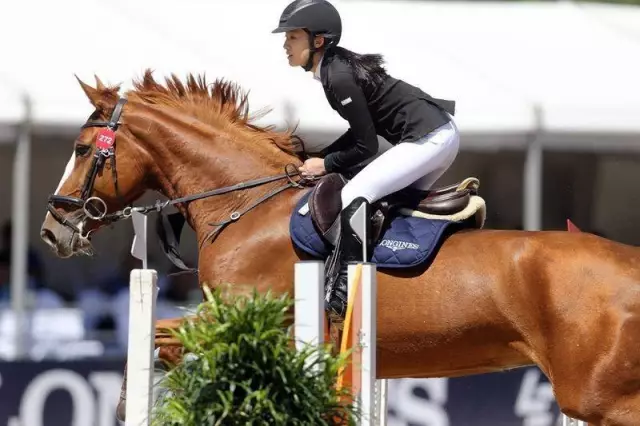 巴西名将勇夺马术联赛亚军，再创佳绩的简单介绍