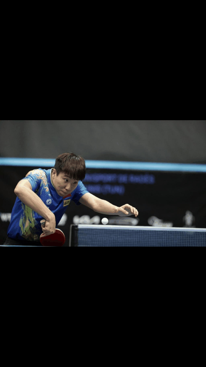 突尼斯球员表现出色,备受关心 突尼斯球员表现出色,备受关心