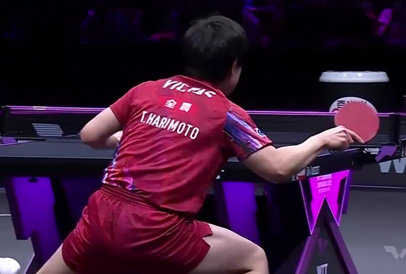 包含德国队鏖战中国队，张本智和刷新纪录的词条