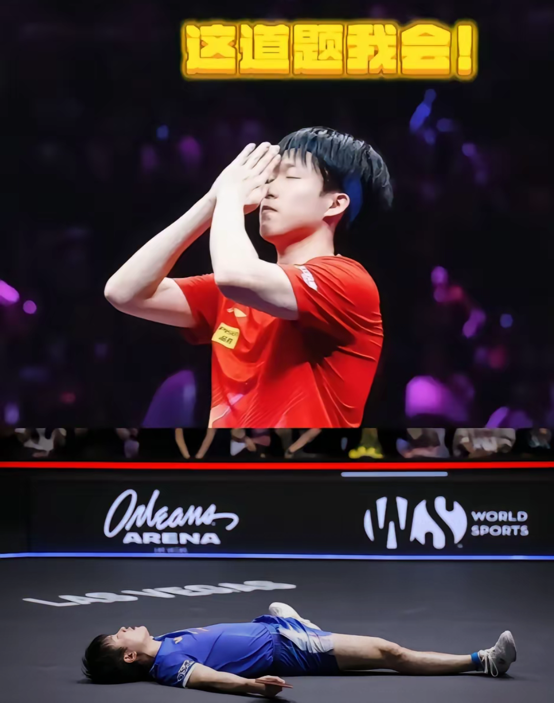 包含中国乒乓球队横扫比利时乒乓球队,奥恰洛夫惊艳世界的词条 包含中国乒乓球队横扫比利时乒乓球队,奥恰洛夫惊艳世界的词条