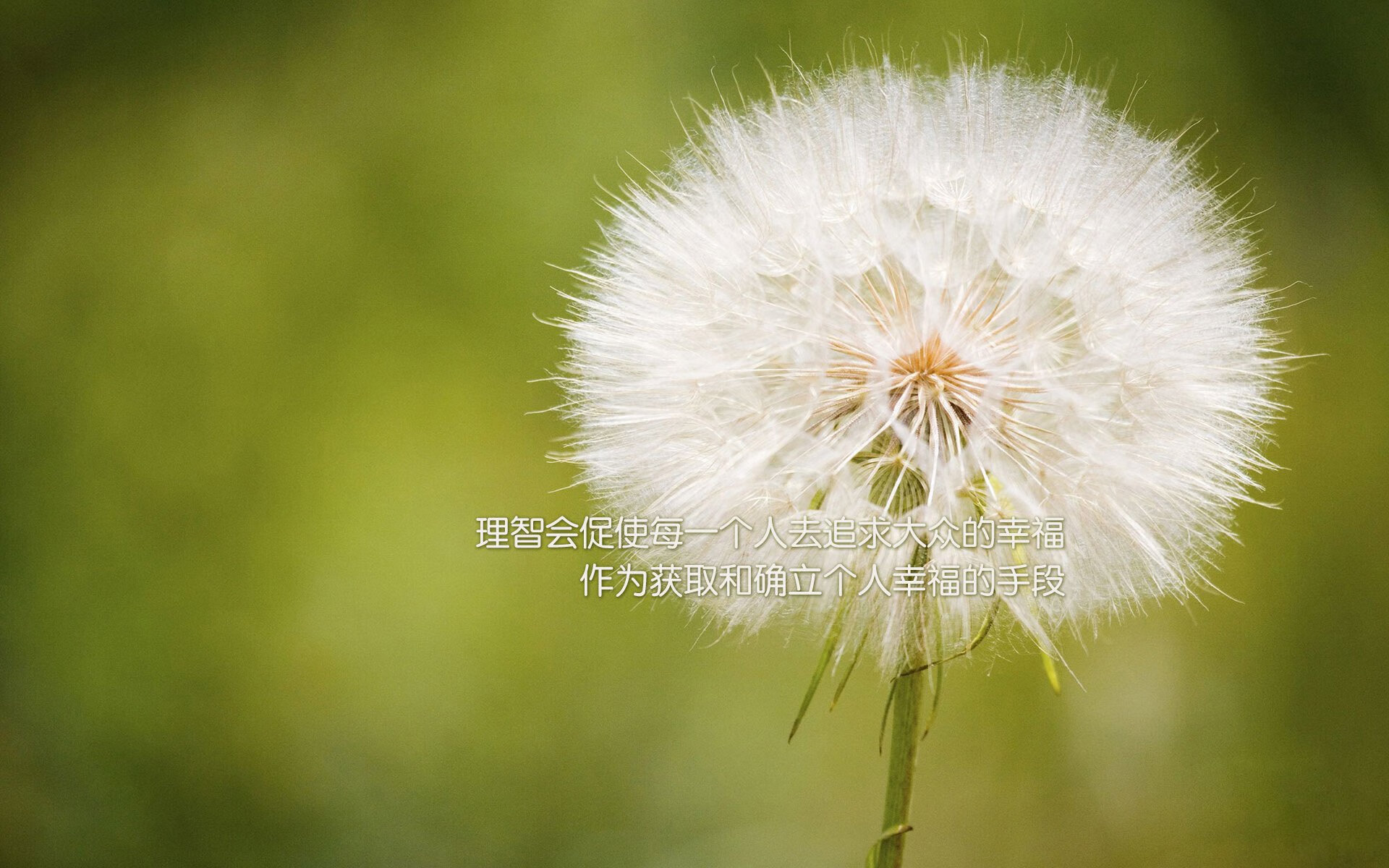 凯塞多主宰比赛走向，中国女足斩落瑞典挺进八强