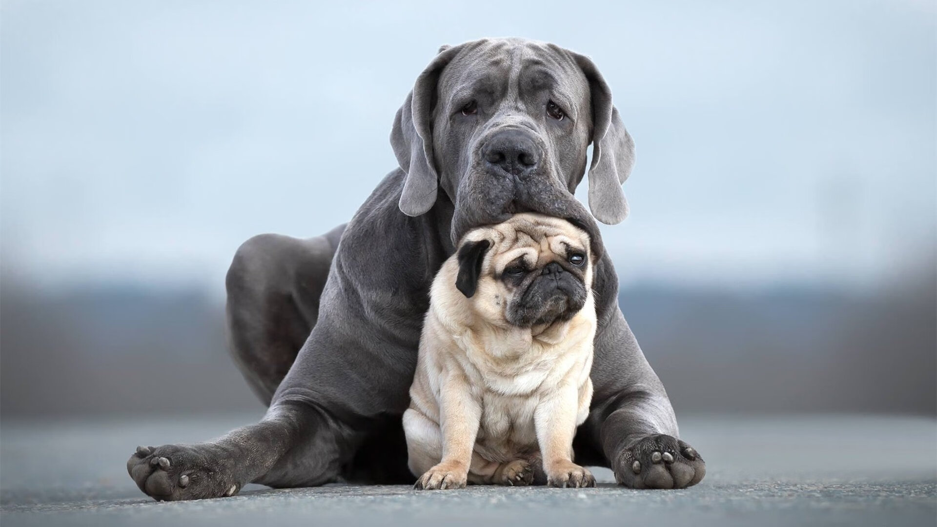 极速与热血,F1揭幕战悬念与NBA逆转之夜的双重奏